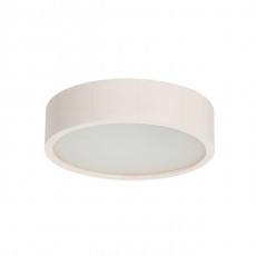 Настенный потолочный светильник Kanlux JASMIN 270-W 23123